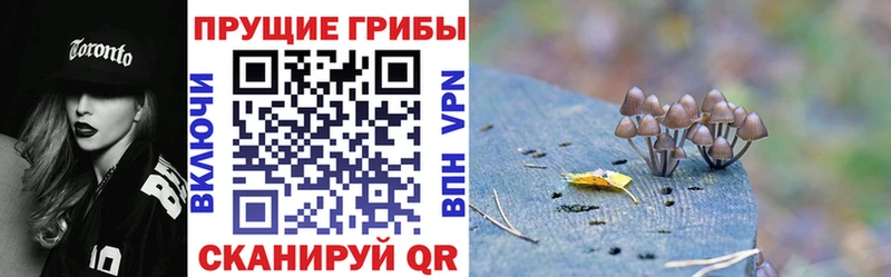 Псилоцибиновые грибы Magic Shrooms  Северо-Курильск 